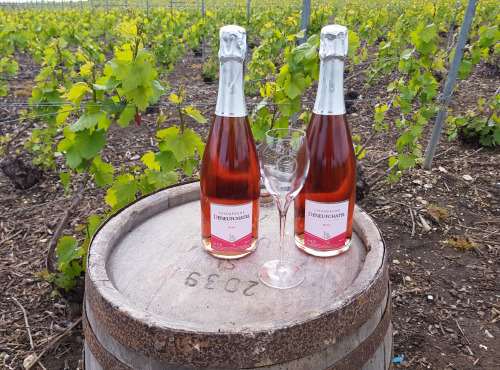 Champagne Deneufchatel - Champagne Deneufchatel Brut Rosé 2 X 75 Cl