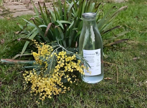 Rébecca les Jolies Fleurs - Sève de Bouleau fraîche 1l