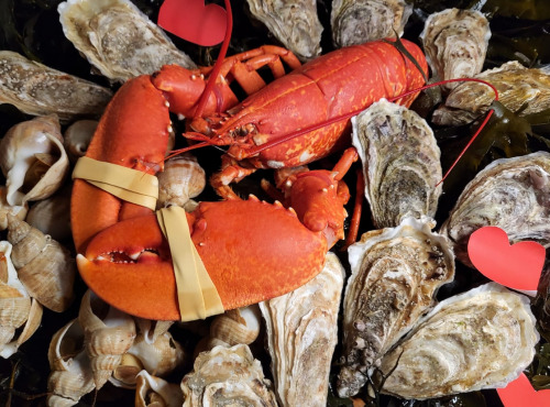 Thalassa Tradition - Plateau de fruits de mer