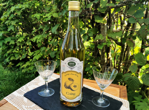 Le Balcon en Forêt - Apéritif aux Coings - 75 cl