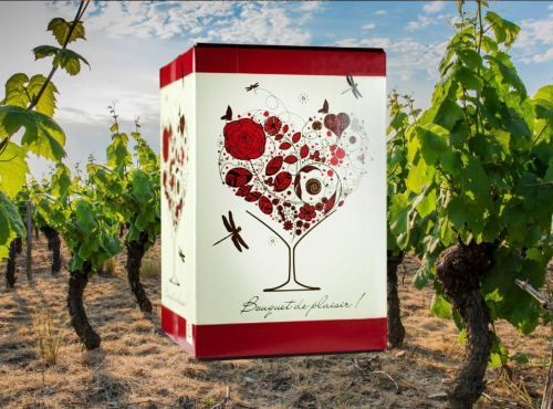 Domaine de la Perrée - Bag in Box (BIB) 5L Rouge Saint-Nicolas-de-Bourgueil