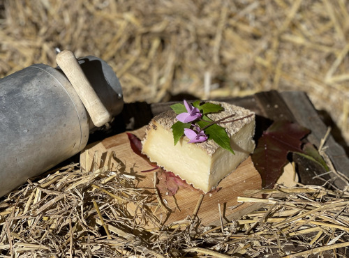 Fromagerie Maurice - 1/4 Tomme affinée au lait cru