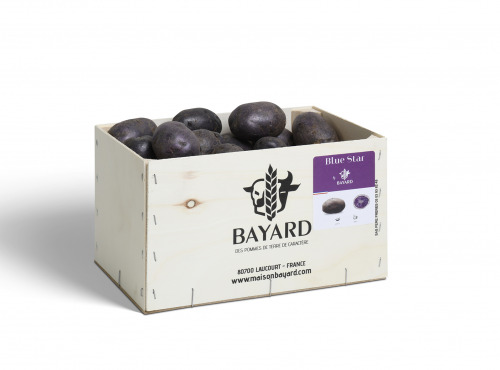 Maison Bayard - Pommes De Terre Blue Star - 5kg