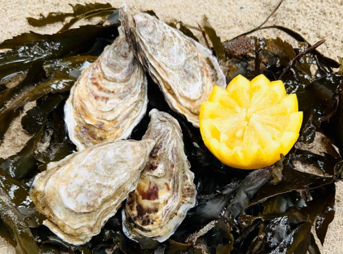 O GRE DES VENTS - Huîtres creuses pleine mer de Normandie N3 - 1 douzaine