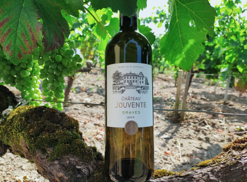 Château Jouvente - Le Blanc confidentiel de Jouvente - AOC Graves 2020 - 3 Bouteilles