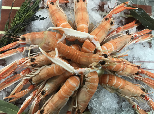 Saveurs Océanes IO - Langoustines cuites – 200g