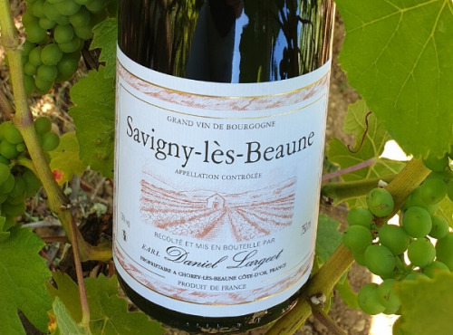 Domaine Daniel Largeot - AOC Savigny-Lès-Beaune 2017 - 6 Bouteilles