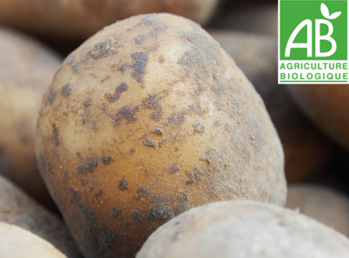 Mon Petit Producteur - Pomme De Terre Bio À Chair Ferme [2,5 kg]