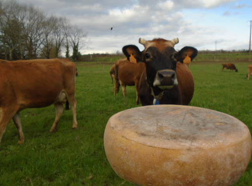 La Ferme de l'Abbaye - Fromage d'Abbaye : La Royale Du Berry - 9 Kg