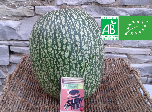 Les Jardins de Karine - Courge de Siam - 6.5 à 7 kg