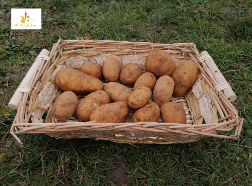 Au bon Jardinet - Pomme De Terre Binjte