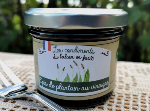 Le Balcon en Forêt - Epis de plantain au vinaigre