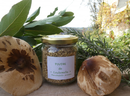 Terres En Vie - Champignon Bio - Coulemelle En Poudre