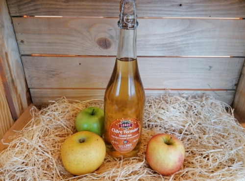 Le Châtaignier - Cidre Demi-sec - Colis de 6 Bouteilles