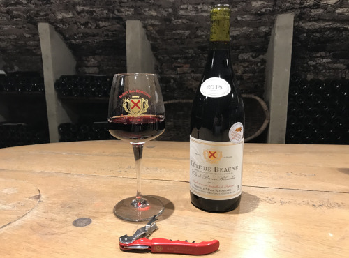 Domaine Michel & Marc ROSSIGNOL - Côte de Beaune "Clos de Pierres Blanches" 2020