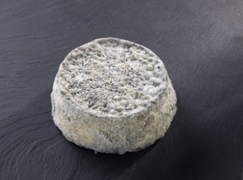 La Fromagerie Marie-Anne Cantin - Selles-sur-cher Aop