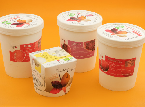 Le Jardinier Glacier - Lot de 3L - fraise, framboise, cassis, citron