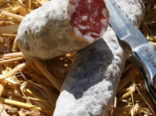 Constant Fromages & Sélections - Saucisson le Cendré Tuyé du Papy Gaby