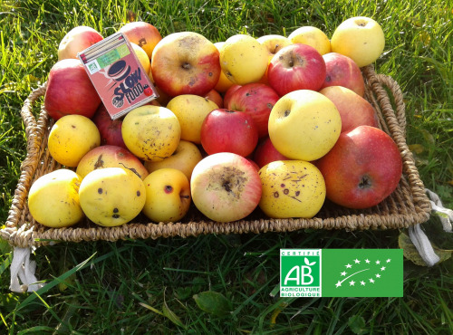 Les Jardins de Karine - POMMES "visitées"-en mélange-5kg