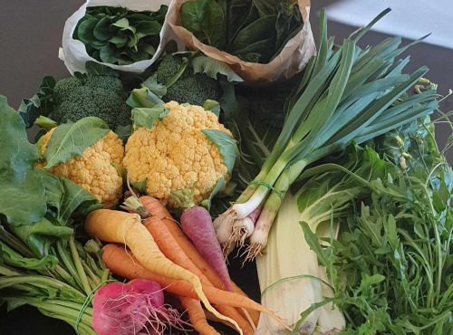 Le Cayre de Valjancelle - Bruno Cayron et Isé Crébely - Panier De Légumes Gastronomiques Bio - 13kg