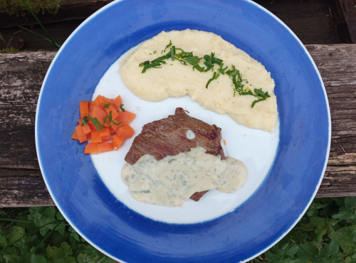 Ferme de Yak Riberot - Pavé de tranches de faux filet de yak bio élevé en plein air (viande bovine) - 250 gr