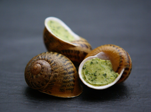 L’escargotière BONVALOT - 2 Douzaines d'Escargots Surgelés en Coquille au Beurre d'Ail et de Persil