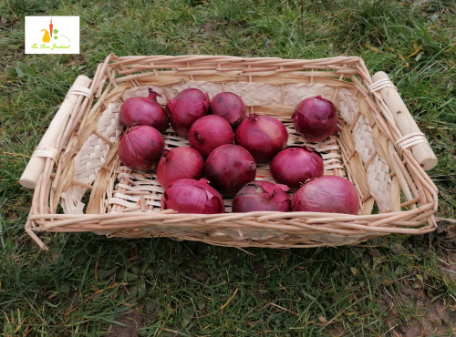 Au bon Jardinet - Oignons Rouges Karmen X 1kg