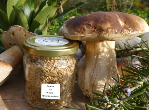 Terres En Vie - Champignon Bio -  Cèpe En Poudre