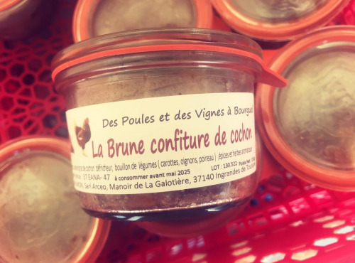 Des Poules et des Vignes à Bourgueil - La brune confiture de cochon (Rillettes de Touraine)