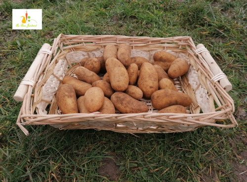 Au bon Jardinet - Pomme De Terre Amandine 1kg