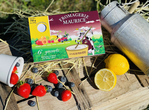 Fromagerie Maurice - Yaourt aux Fruits Rouges x12