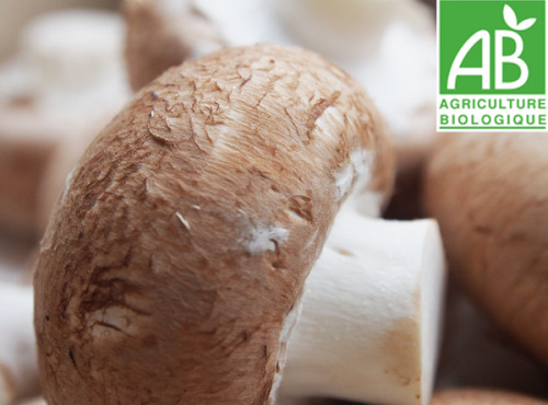 Mon Petit Producteur - Champignon De Paris Brun - 350g