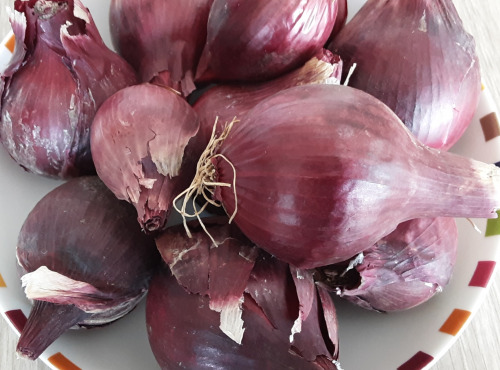 Gourmets de l'Ouest - Oignons rouges de Saint-Malo