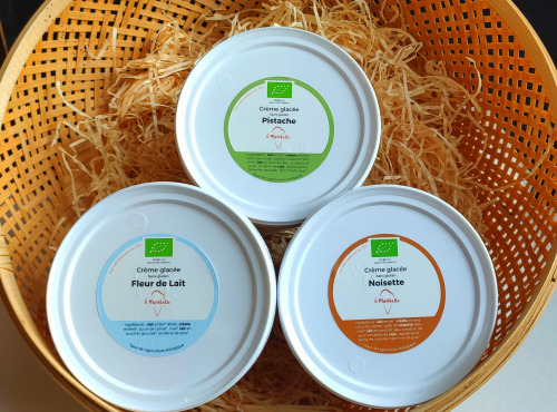 O Maribelle - Lot de 3 crèmes glacées 500 ml