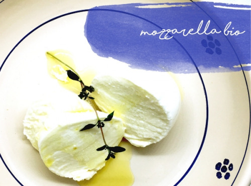 OTTANTA - Mozzarella Bio Au Lait De Vache Local