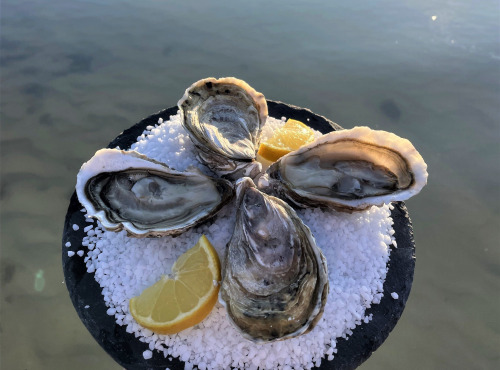 Les Huîtres Aucreterre - Huîtres "Fines de Pleine Mer" n°2 - 1,25 kg