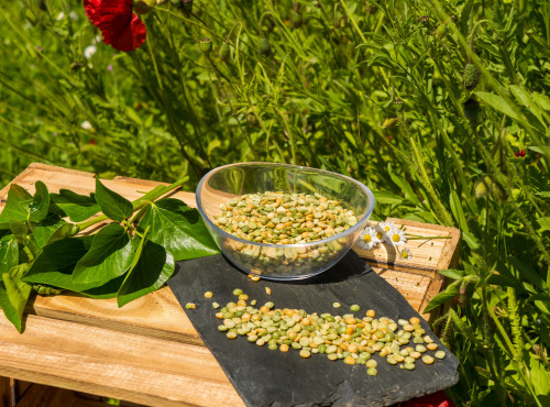 Sa Majesté la Graine - Pois Cassés Du Berry HVE - sachet 350 g