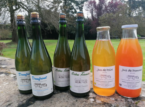 Domaine Fourmond Lemorton - Lot découverte Les Normands x6