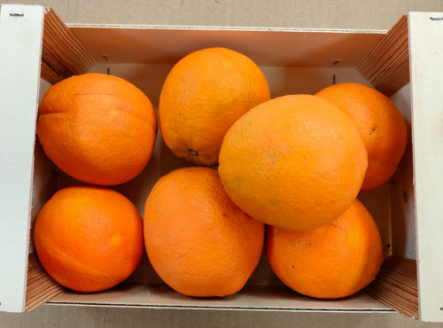 Coopérative Univert - Orange Corses Bio équitable - 3kg