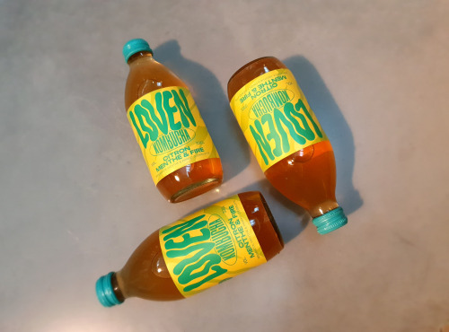 Brasserie L'Indispensable LOVEN Kombucha - Kombucha Citron Menthe & Fire - 10x33cl