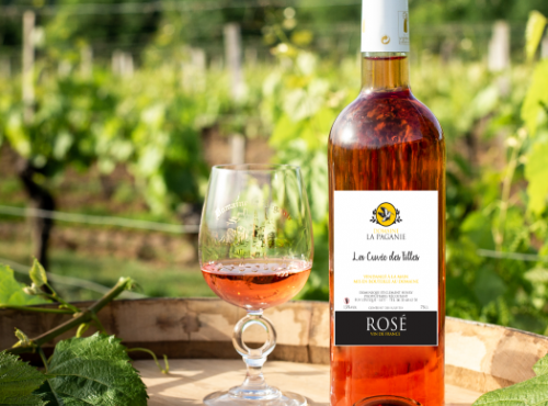 Domaine la Paganie - Rosé Cuvée des filles 6 Bouteilles - Vin de France