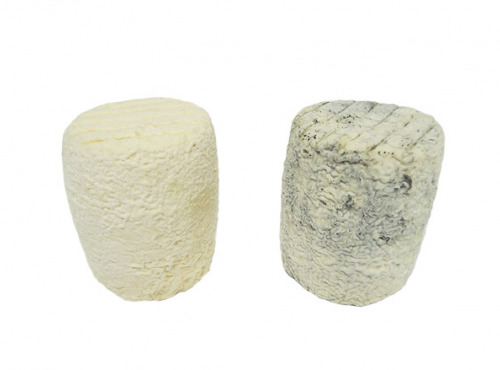 Fromagerie Seigneuret - Chabis Fermier