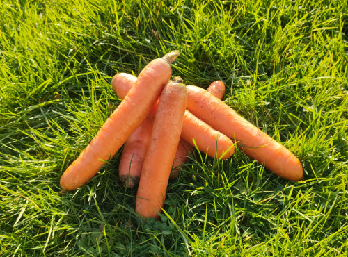 La Brouette d'Alexis - Carottes - 1 kg