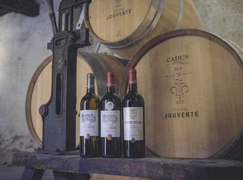 Château Jouvente - Le Trio Prestigieux - 3 Bouteilles