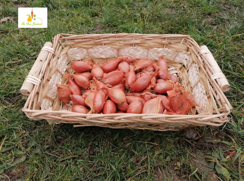 Au bon Jardinet - Echalotes 500 g