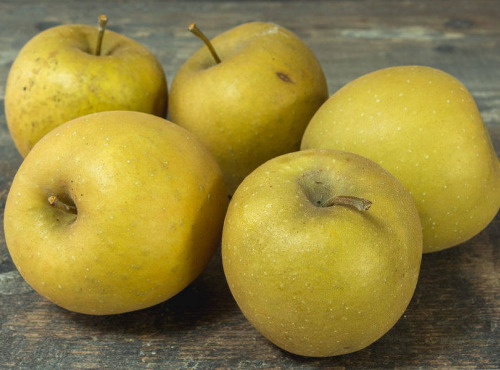 Le Châtaignier - Pomme Bertanne 1kg