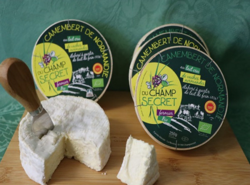 Ferme du Champ Secret - Camembert de Normandie Bio AOP x5