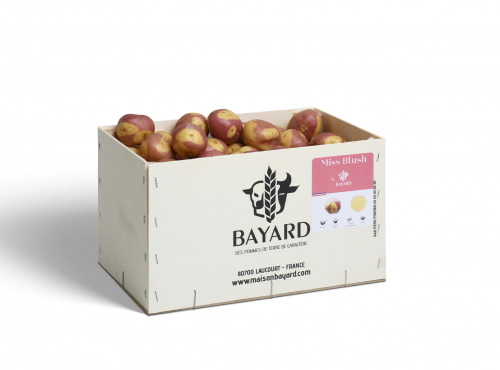 Maison Bayard - Pommes De Terre Miss Blush - 5kg