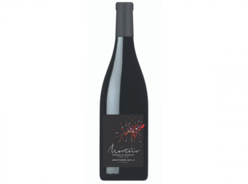 Domaine Bailly Jean-Pierre - Coteaux du Giennois Rouge Montour