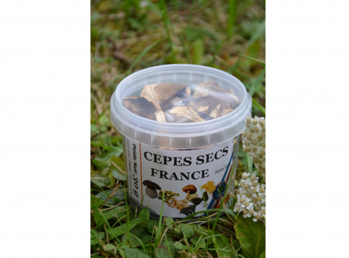 Trapon Champignons - Cèpes Secs - 30 G